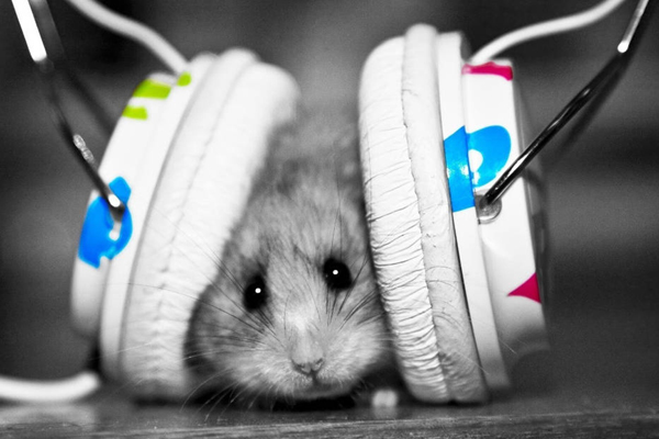 1616060297558724.jpg 1616060297558724.jpg